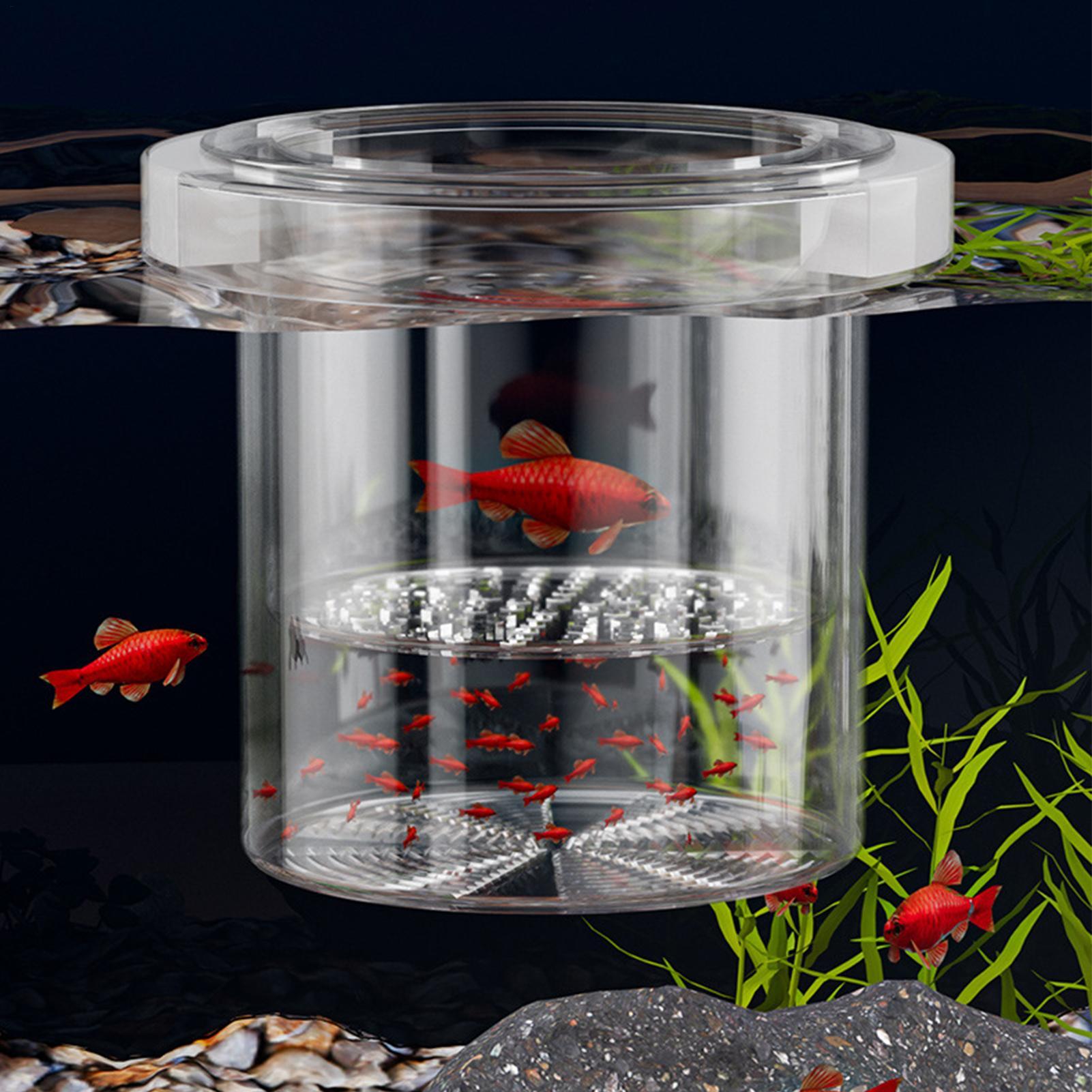 Boîte d'élevage de poissons du - Lab Incubator avis et prix