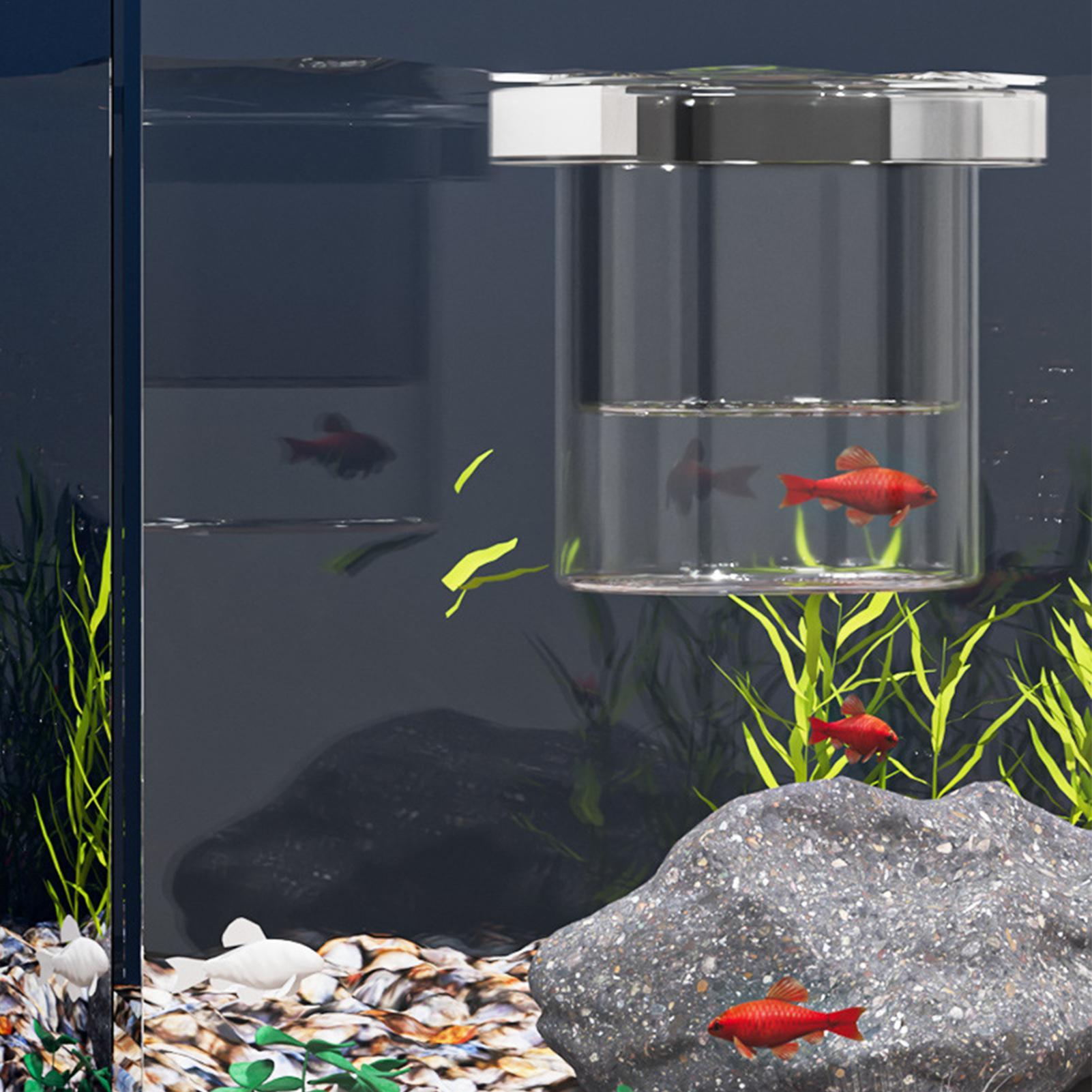 Boîte d'élevage de poissons du - Lab Incubator avis et prix