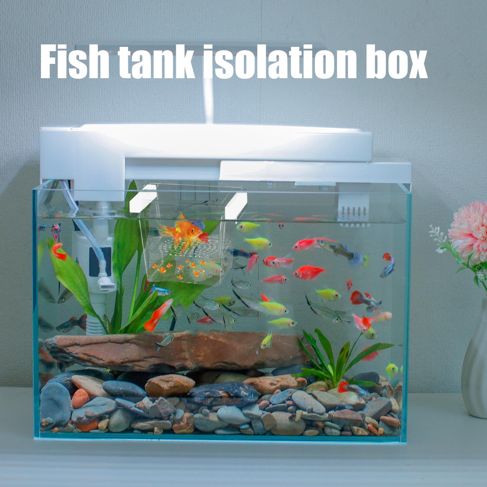 Boîte d'élevage de poissons du - Lab Incubator avis et prix