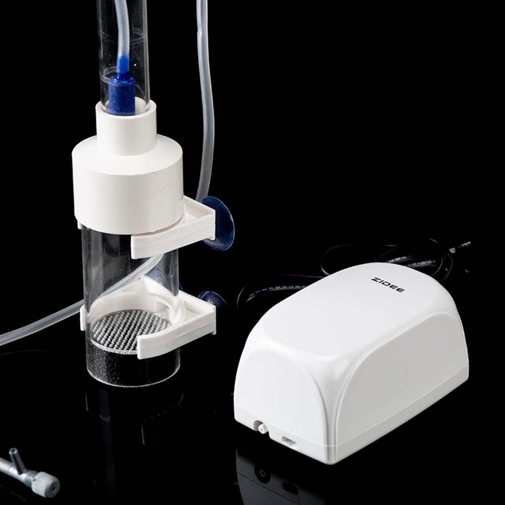 Incubateur d'œufs de poisson d - Lab Incubator avis et prix