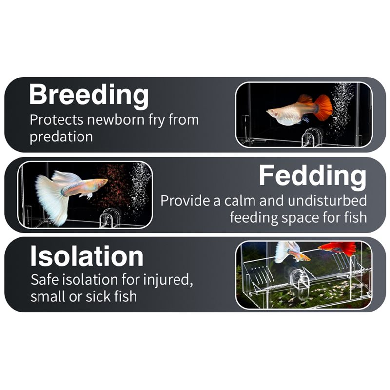 Boîte d'élevage de poissons A2 - Lab Incubator avis et prix