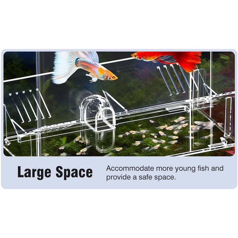 Boîte d'élevage de poissons A2 - Lab Incubator avis et prix