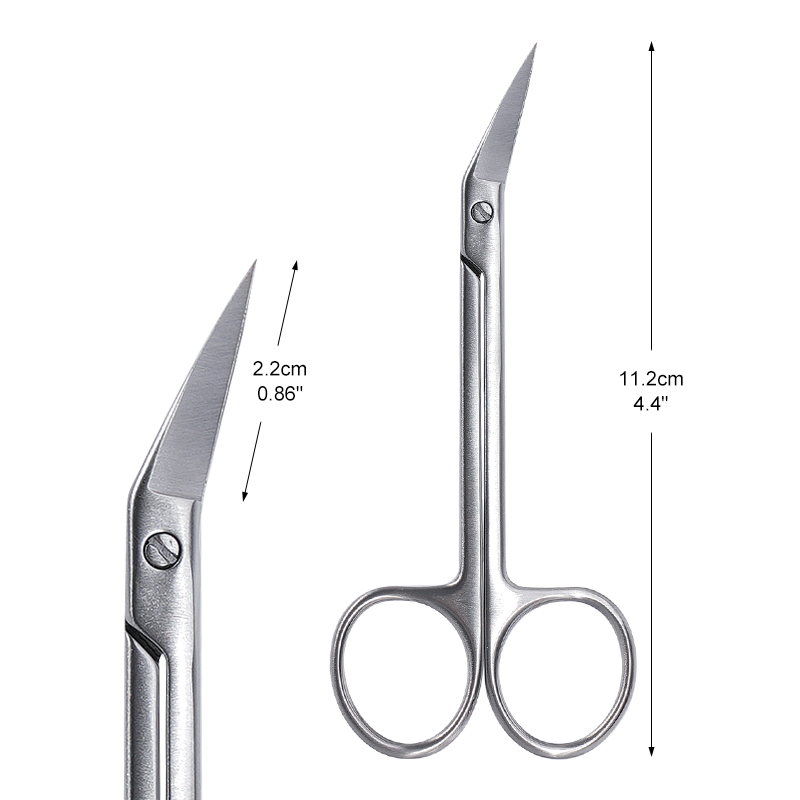 Micro ciseaux dentaires à tête - Medical Scissors avis et prix